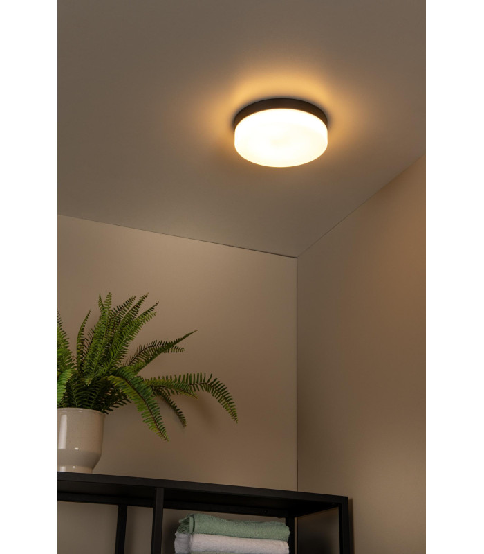 Biskit Modern Flush ceiling light Bathroom-4