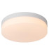 Biskit Modern Flush ceiling light Bathroom-1