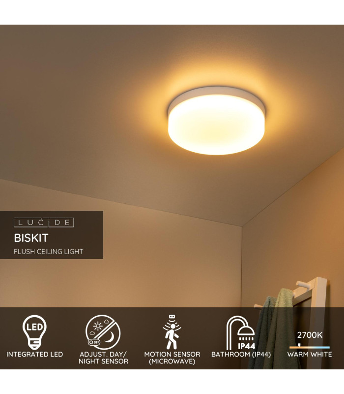 Biskit Modern Flush ceiling light Bathroom-3