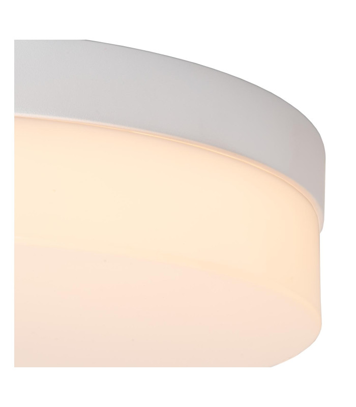 Biskit Modern Flush ceiling light Bathroom-6