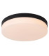 Biskit Modern Flush ceiling light Bathroom-1