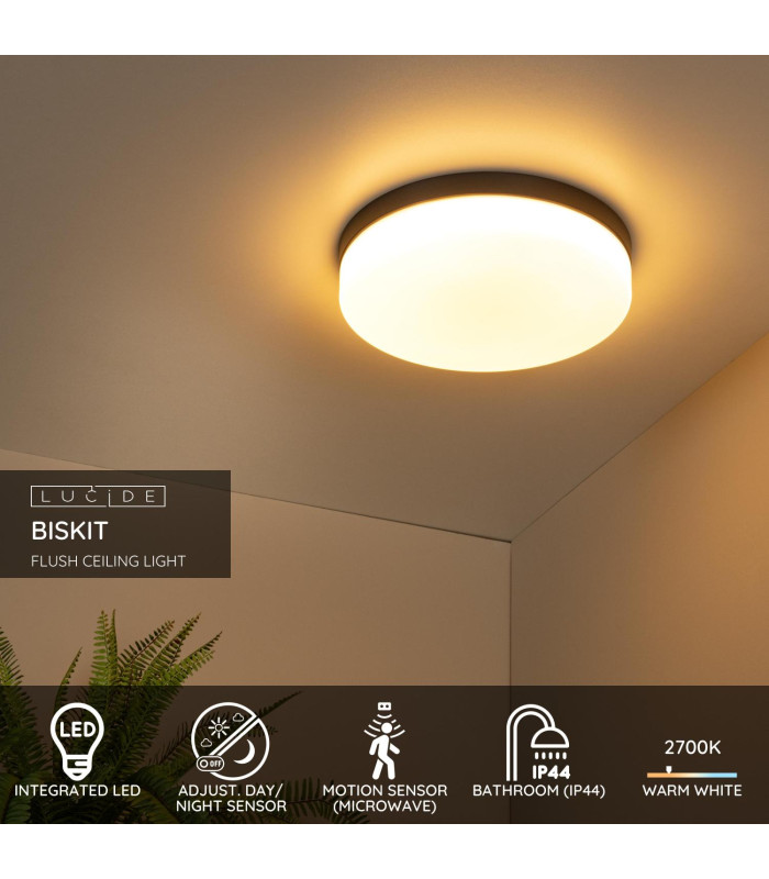 Biskit Modern Flush ceiling light Bathroom-2