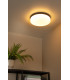 Biskit Modern Flush ceiling light Bathroom-3