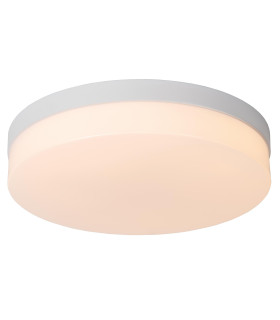 Biskit Modern Flush ceiling light Bathroom-1