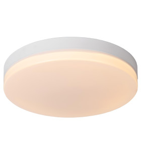 Biskit Modern Flush ceiling light Bathroom-1