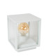 CLAIRE - Bollard light Outdoor - 1xE27 - IP54 - White-2