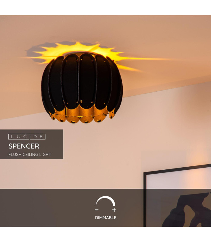 SPENCER - Flush ceiling light - 30 cm - 1xE27 - Black-2