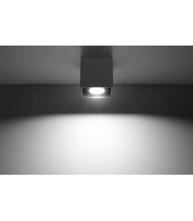 1 Light Surface Mounted Downlight Anthracite - 2