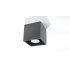 1 Light Surface Mounted Downlight Anthracite - 3
