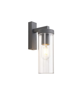 Elmira Wall Lamp 1 x E27 IP54 Dark Grey/Clear -1
