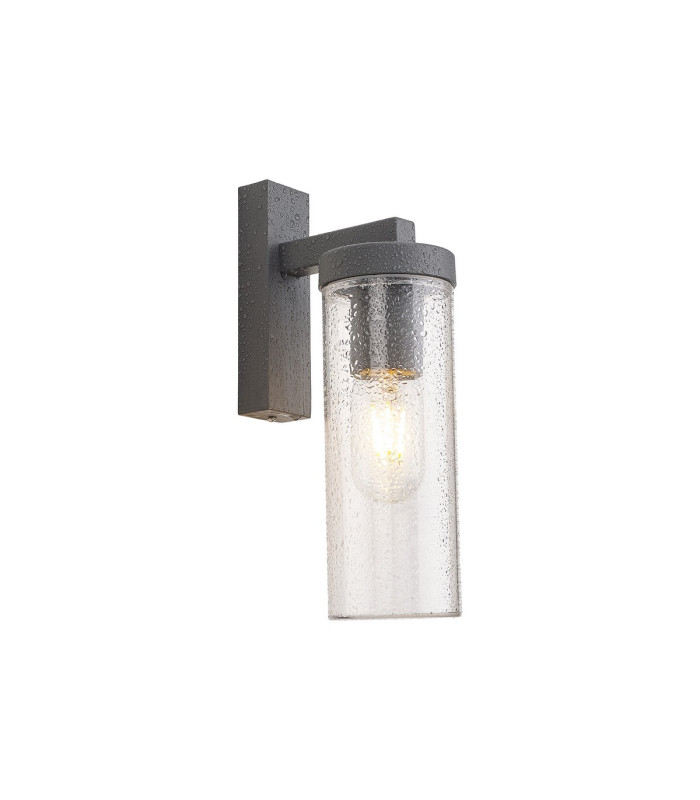 Elmira Wall Lamp 1 x E27 IP54 Dark Grey/Clear -5