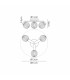 Cortland 51cm Flush Ceiling 3 Light G9 IP44 Black/Polished Chrome/Opal Round Segment Glass-2