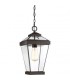 1 Light Medium Outdoor Chain Lantern Western Bronze - 1
