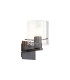 Hudson Single Switched Wall Lamp 1 Light E27 Dark Grey/Clear Wide Line Glass-1