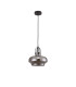 Cobleskill 23cm Single Pendant 1 Light E27 Satin Black/Smoke Plated Glass-7