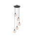 Placid 48cm Round Pendant 5 Light E14 15cm Round Segment Glass Shade Satin Nickel Amber Plated & Satin Black-1