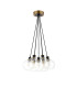 Placid 45cm Round Cluster Pendant 7 Light E14 15cm Round Glass Shade Brass Clear & Satin Black-4
