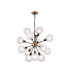 Placid 78cm Pendant 14 Light E14 15cm Round Dimpled Glass Shade Brass Clear & Satin Black-1