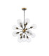 Placid 78cm Pendant 14 Light E14 15cm Round Segment Glass Shade Brass Clear & Satin Black-3