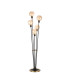 Placid Floor Lamp 5 Light E14 15cm Round Glass Shade Brass Amber Plated Satin Black-1