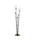Placid Floor Lamp 5 Light E14 15cm Round Glass Shade Brass Clear Satin Black-1