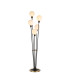 Placid Floor Lamp 5 Light E14 15cm Round Glass Shade Brass Opal Satin Black-1