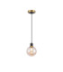 Plattsburgh 1.3m Pendant 1 Light E14 IP44 15cm Round Glass Shade Brass Amber Plated & Satin Black-4