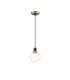 Plattsburgh 1.3m Pendant 1 Light E14 IP44 15cm Round Glass Shade Brass Clear & Satin Black-4