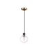 Plattsburgh 1.3m Pendant 1 Light E14 IP44 15cm Round Glass Shade Brass Clear & Satin Black-5