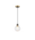 Plattsburgh 1.3m Pendant 1 Light E14 IP44 15cm Round Dimpled Glass Shade Brass Clear & Satin Black-4