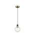 Plattsburgh 1.3m Pendant 1 Light E14 IP44 15cm Round Dimpled Glass Shade Brass Clear & Satin Black-5