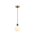 Plattsburgh 1.3m Pendant 1 Light E14 IP44 15cm Round Glass Shade Brass Opal & Satin Black-4