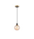 Plattsburgh 1.3m Pendant 1 Light E14 IP44 15cm Round Segment Glass Shade Brass Amber Plated & Satin Black-4