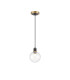 Plattsburgh 1.3m Pendant 1 Light E14 IP44 15cm Round Segment Glass Shade Brass Clear & Satin Black-4