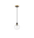Plattsburgh 1.3m Pendant 1 Light E14 IP44 15cm Round Segment Glass Shade Brass Clear & Satin Black-5