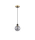 Plattsburgh 1.3m Pendant 1 Light E14 IP44 15cm Round Segment Glass Shade Brass Smoke Plated & Satin Black-5