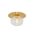 Astoria 21cm Round 1 Light Flush/Wall Light 160mm Glass Brass/Clear-1