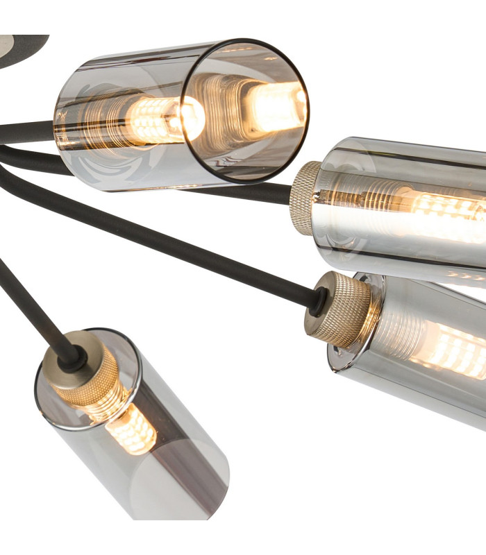 Harpursville Ceiling 8 Light G9 Anthracite/Satin Nickel/Smoked Glass-7