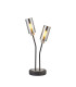 Harpursville Table Lamp 2 Light G9 Anthracite/Satin Nickel/Smoked Glass-1