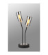 Harpursville Table Lamp 2 Light G9 Anthracite/Satin Nickel/Smoked Glass-3