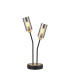 Harpursville Table Lamp 2 Light G9 Satin Black/Gold/Smoked Glass-1