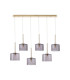 Baldwin Linear Pendant 2m 6 x G9 French Gold/Smoked Type C Shade-4