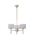 Baldwin 55cm Telescopic/Semi Flush 3 x G9 French Gold/Frosted Type C Shade-4