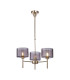 Baldwin 55cm Telescopic/Semi Flush 3 x G9 French Gold/Smoked Type C Shade-1