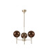 Baldwin 54cm Telescopic/Semi Flush 3 x G9 French Gold/Copper/Frosted Type G Shade-4