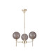 Baldwin 54cm Telescopic/Semi Flush 3 x G9 French Gold/Smoked/Frosted Type G Shade-4