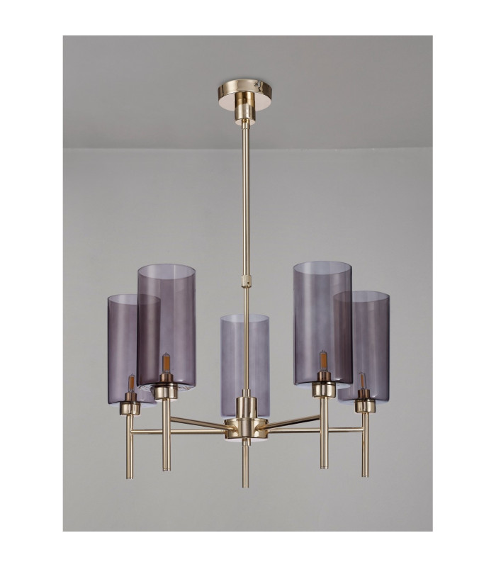Baldwin 60cm Telescopic/Semi Flush 5 x G9 French Gold/Smoked Type A Shade-11