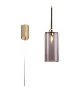 Baldwin 10cm Single Pendant 2m 1 x G9 French Gold/Smoked Type A Shade-1