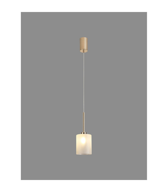 Baldwin 12cm Single Pendant 2m 1 x G9 French Gold/Frosted Type B Shade-3