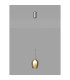 Baldwin 12cm Single Pendant 2m 1 x G9 French Gold/Smoke/Frosted Type D Shade-3